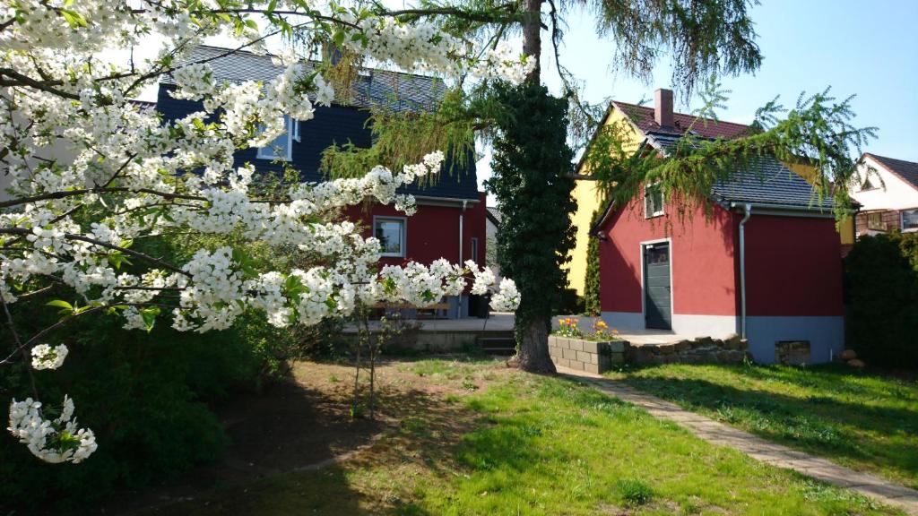 Haus an den Elbwiesen photo 1