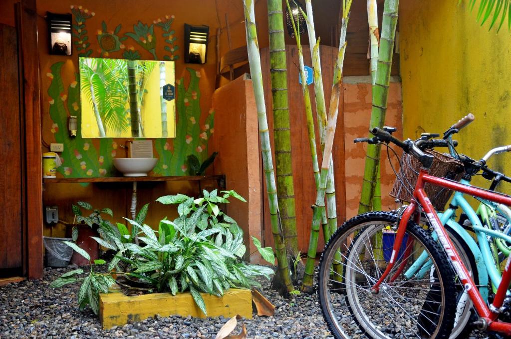Hostal San Pancho photo 2
