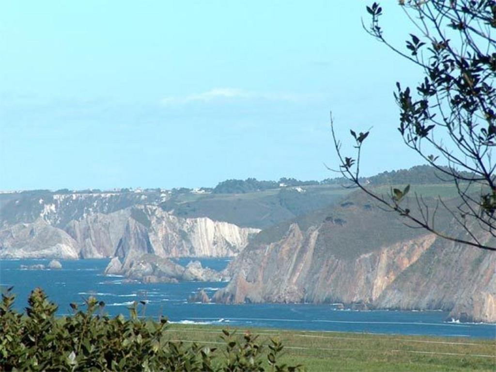 Astur Regal photo 4