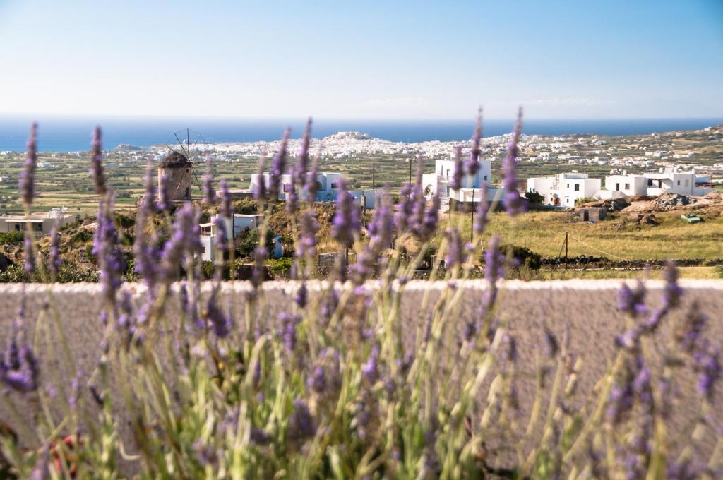 Naxos View photo 3