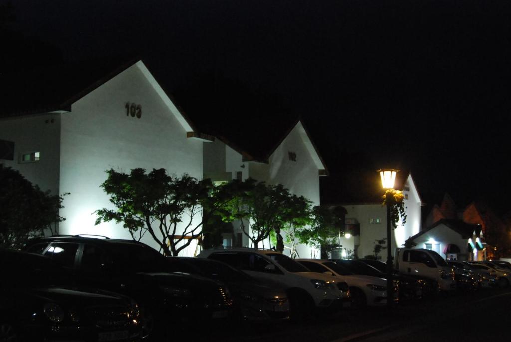 Meta Pension, DamYang photo 3