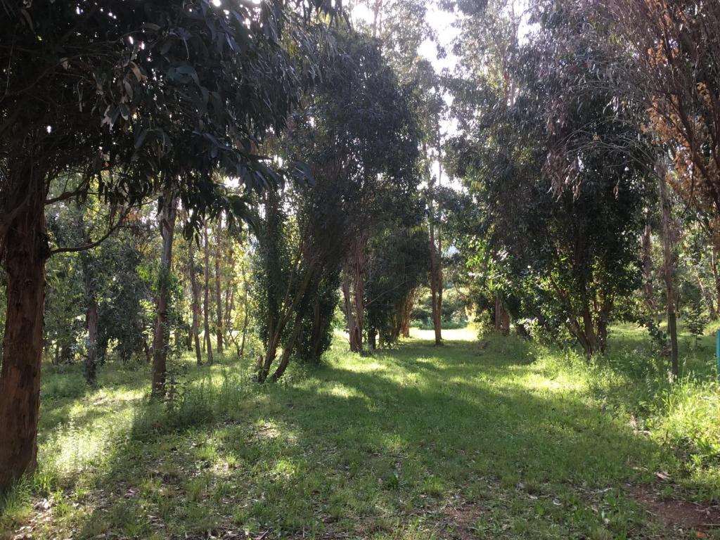 Camping du Soleil photo 3