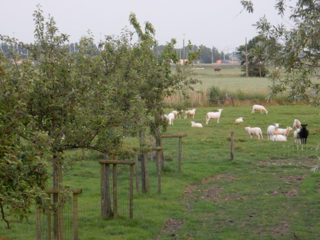 Het Riethuis photo 2