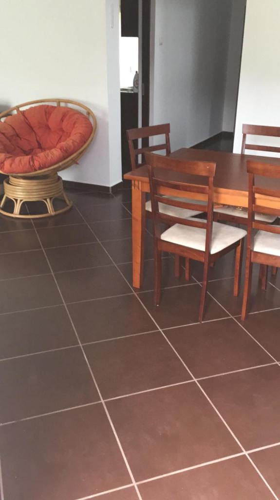 Vila Chiojdu photo 3