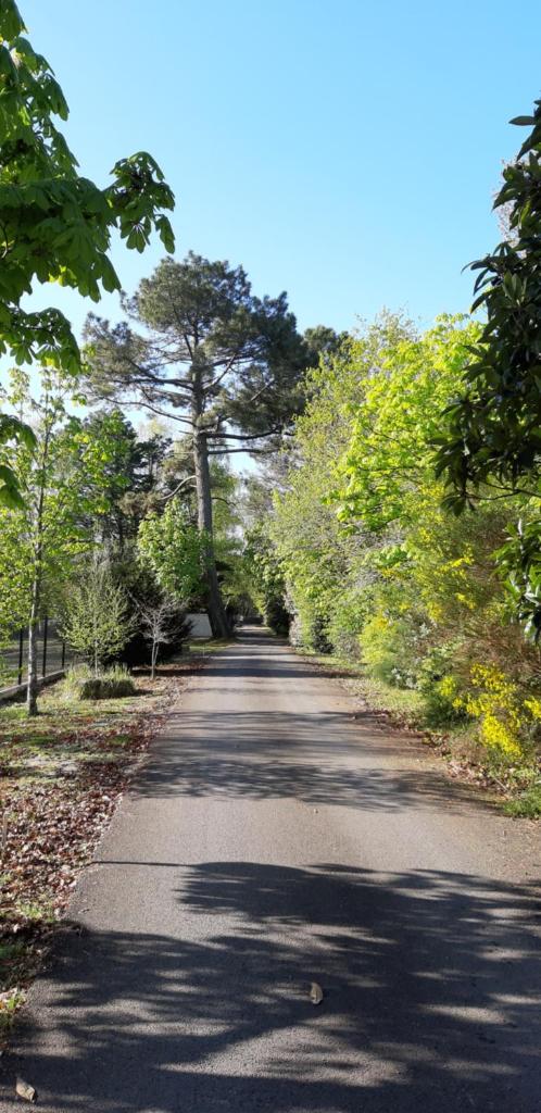 Le Domaine d'Azae photo 3