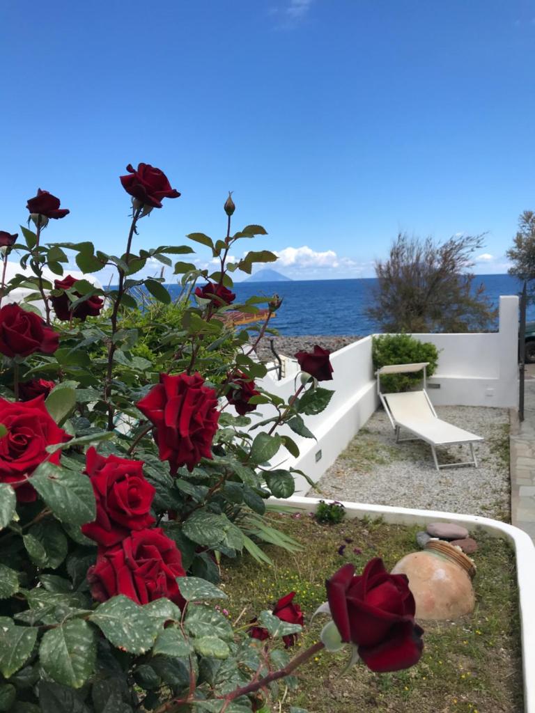B&B La Goletta di Salina photo 3