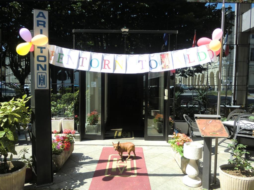 Hotel Ariston photo 3