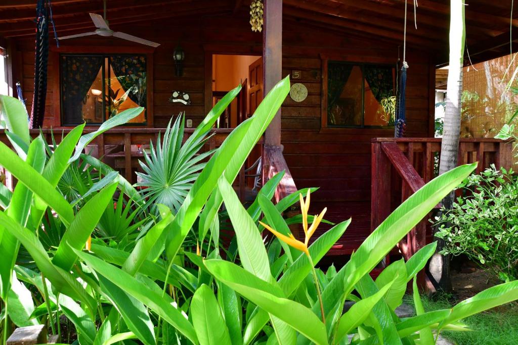 West Bay Lodge and Spa photo 2