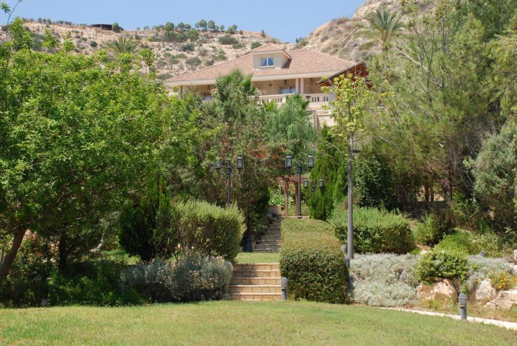 Casa Carmelina photo 3