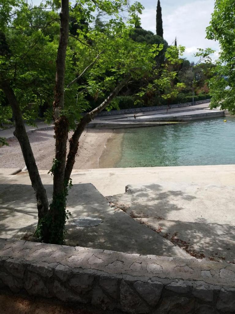 APARTMAN KOREN photo 4