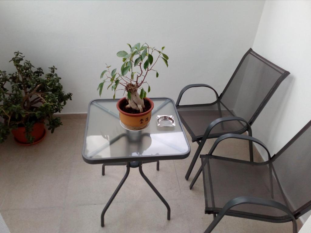 Casa Bologna photo 4