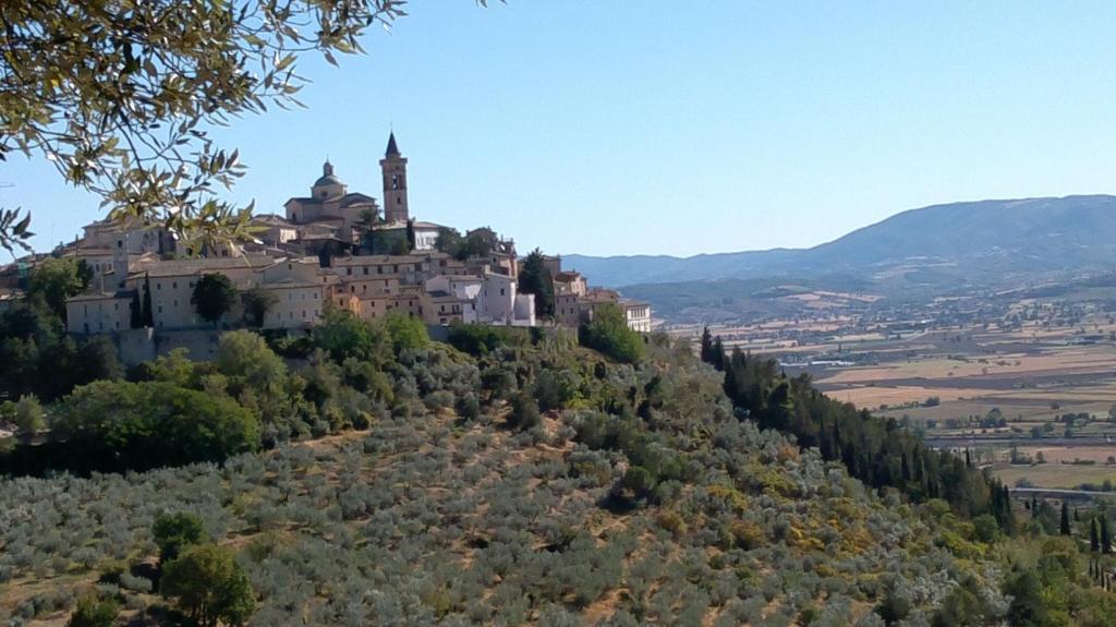 Villa L'Oliveto photo 1
