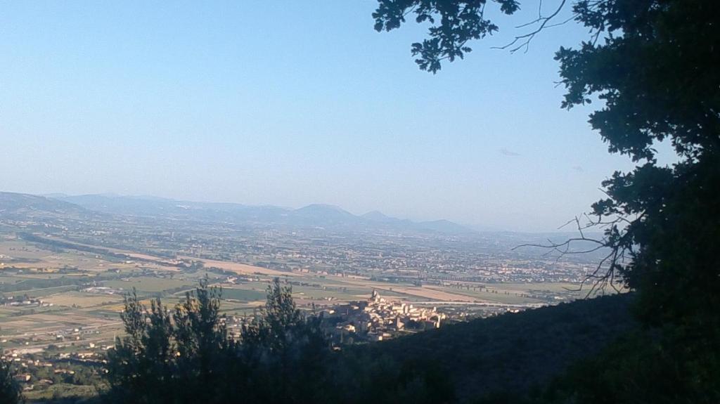 Villa L'Oliveto photo 2