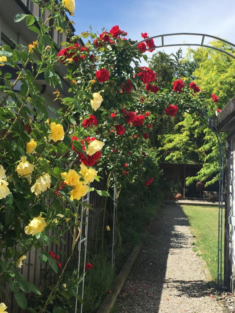 Habsburg B&B photo 3