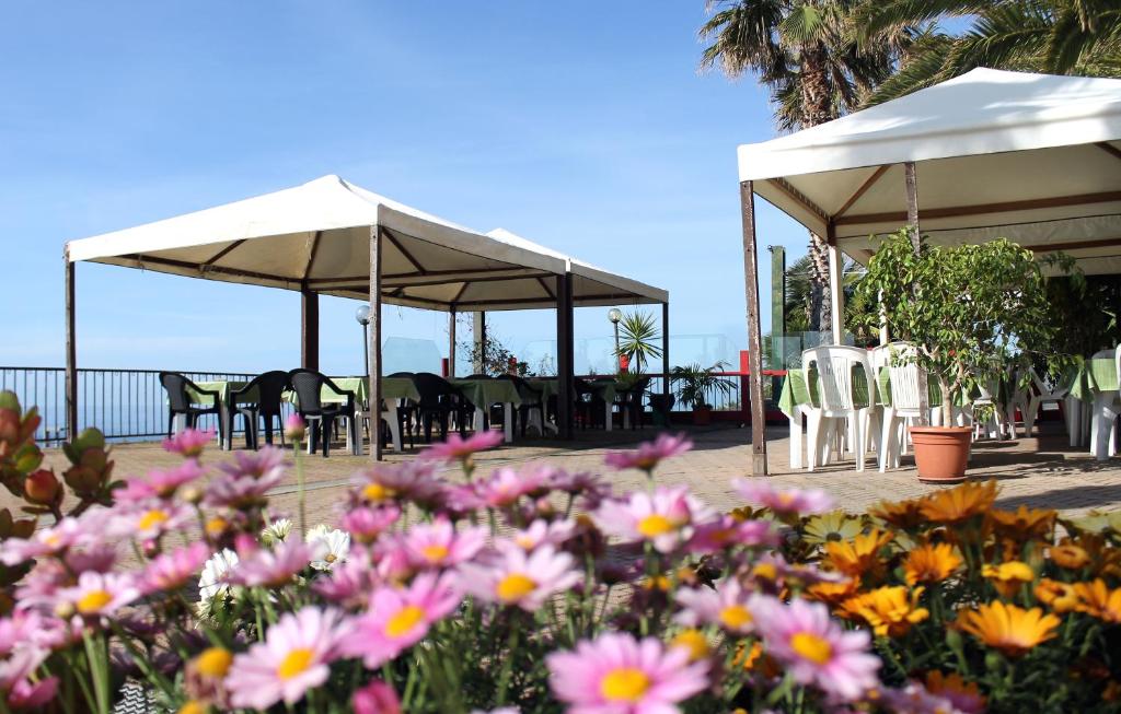 Albergo Ristorante Lucciola photo 2