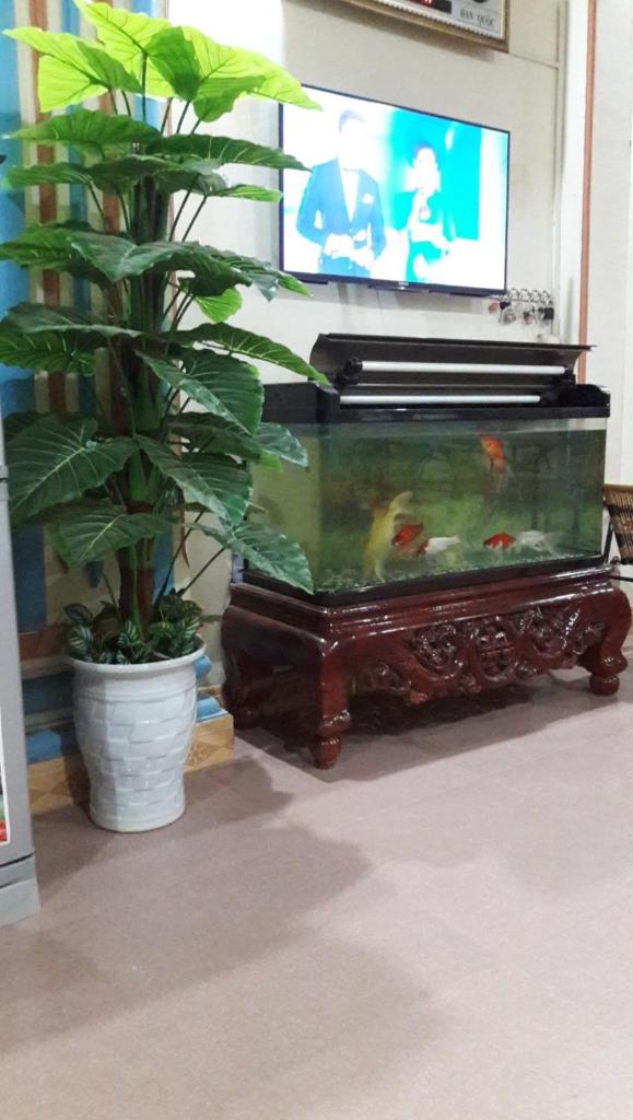 Thien Phuong Guesthouse