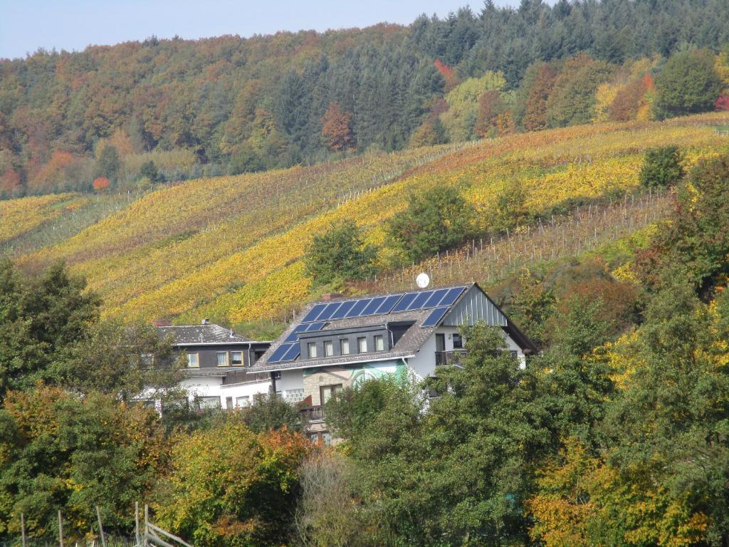 Pension Kühns Mühle photo 2