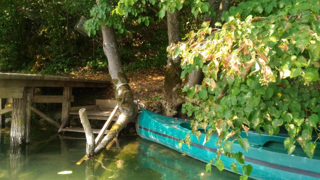 Kuća za odmor Zeleni biser photo 2