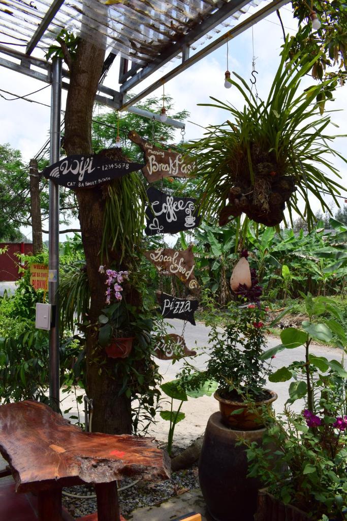 Cat Ba Sweet Potato Homestay