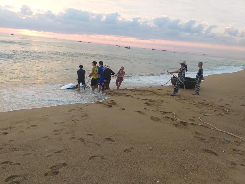 Одноместный (Стандартный одноместный номер с видом на море), Homestay Dat Phu