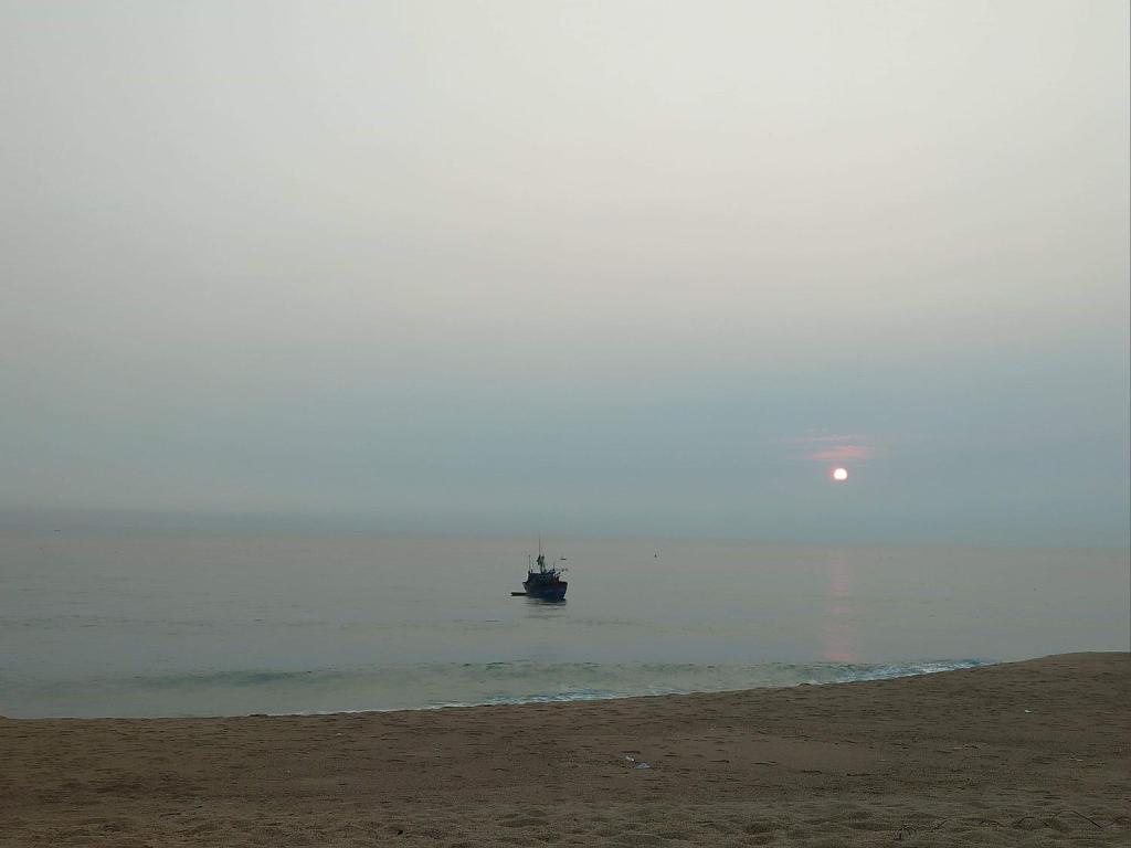 Одноместный (Стандартный одноместный номер с видом на море), Homestay Dat Phu