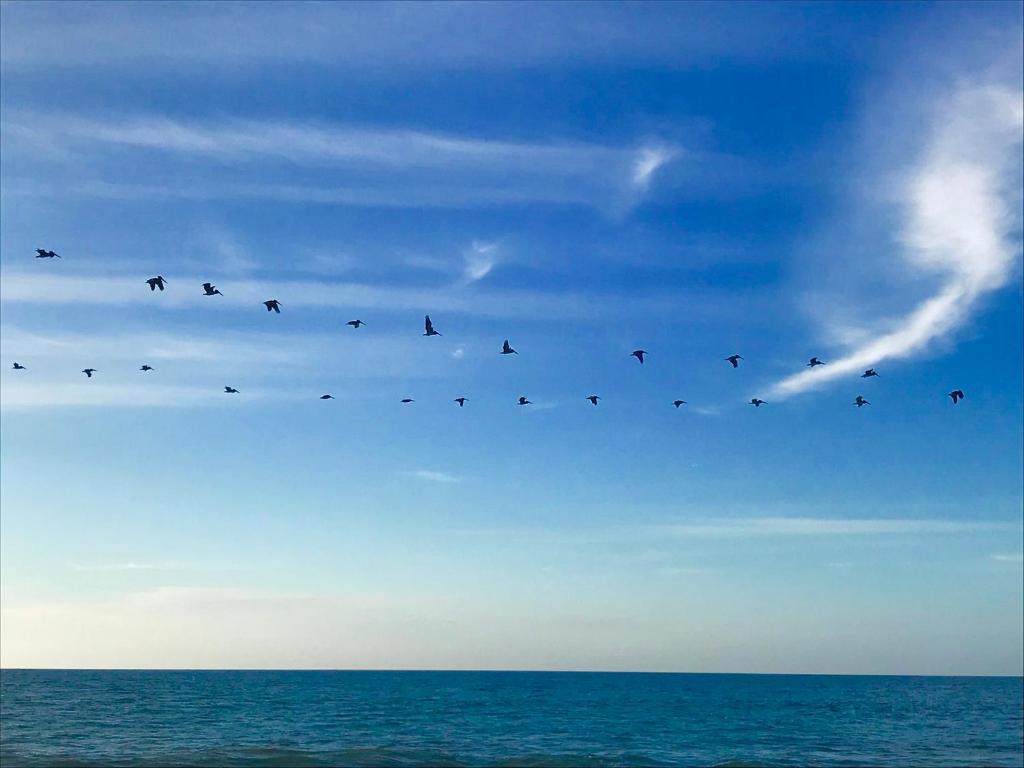 Matices del Mar en Canoas photo 2