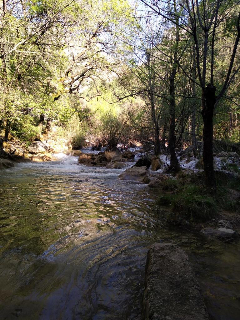 Alojamientos Rural Tejerina photo 2