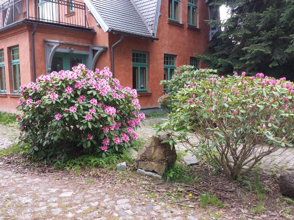 Ferienhaus am Wasserturm für 6 Erwachsene und 9 Kinder photo 4