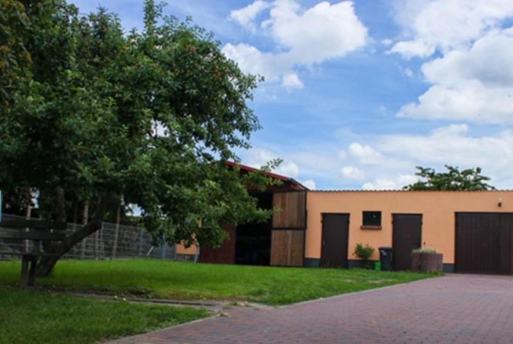 Villa Sonnenschein photo 2