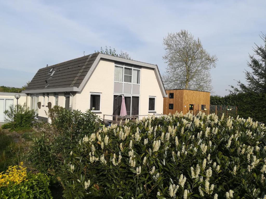 B&B Bovenweg photo 1