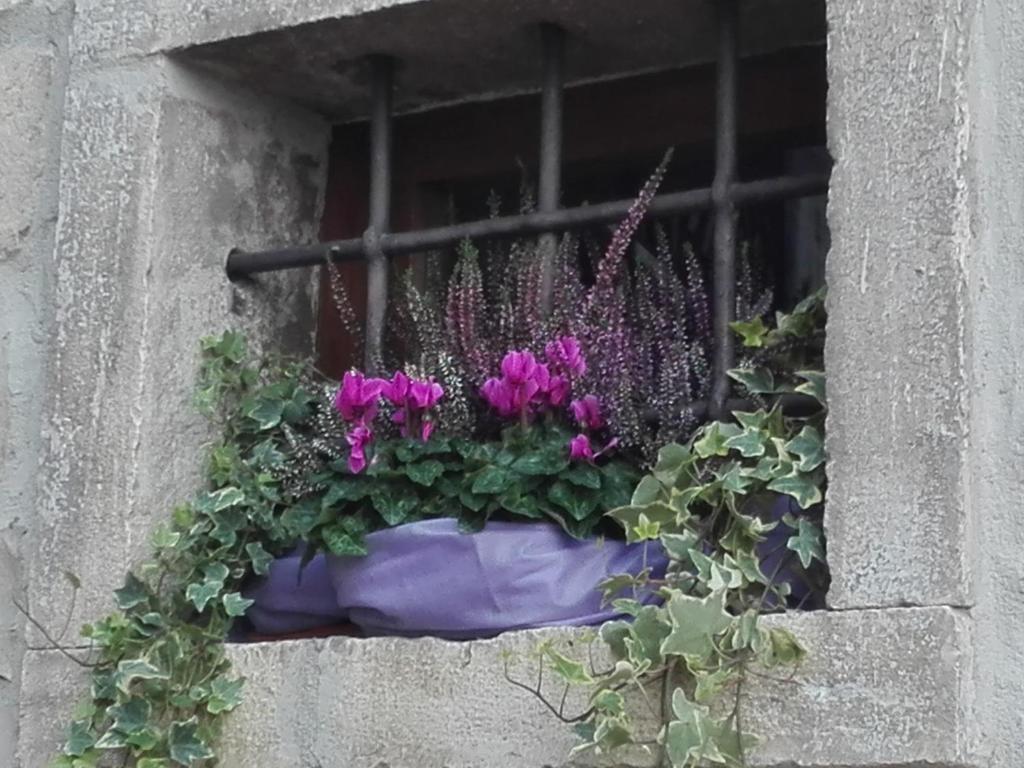 B&B Il Belvedere photo 2