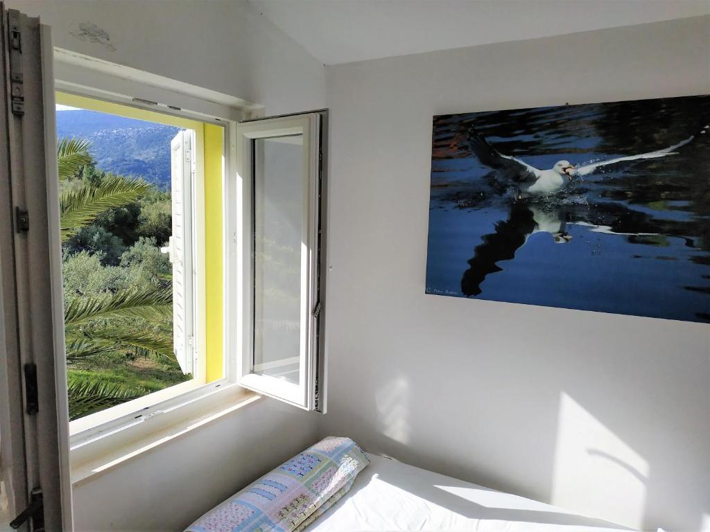 Apartments Mediterranea photo 2