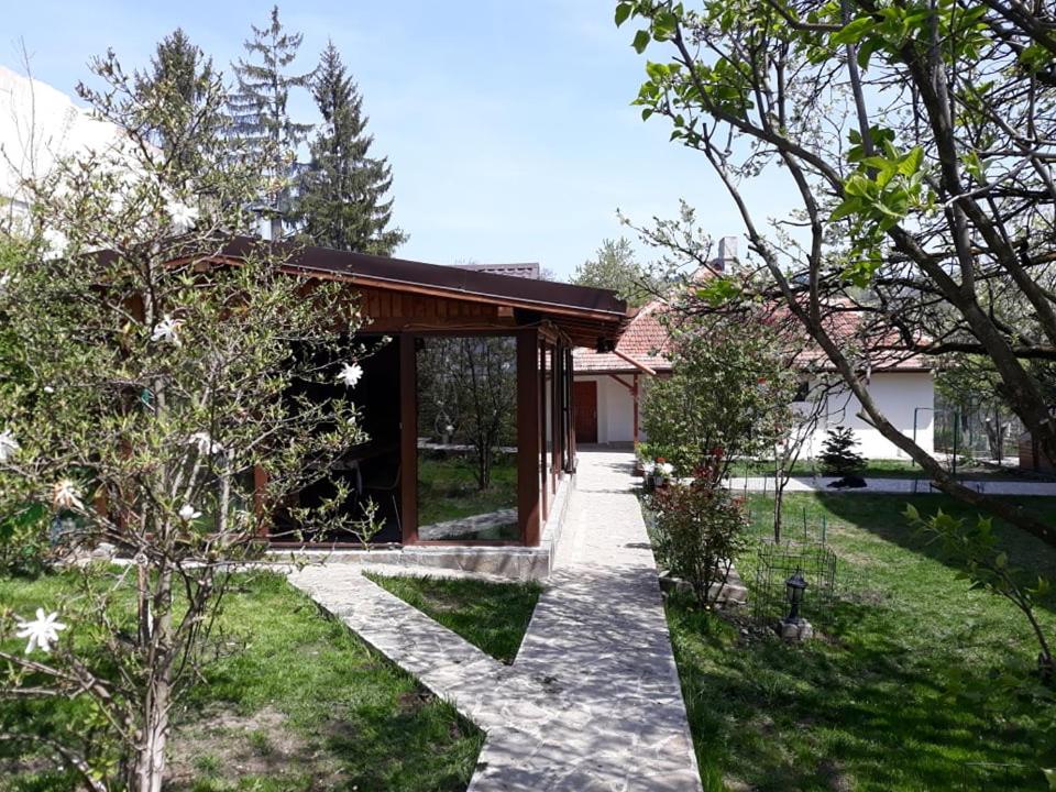 Casa Mara photo 2