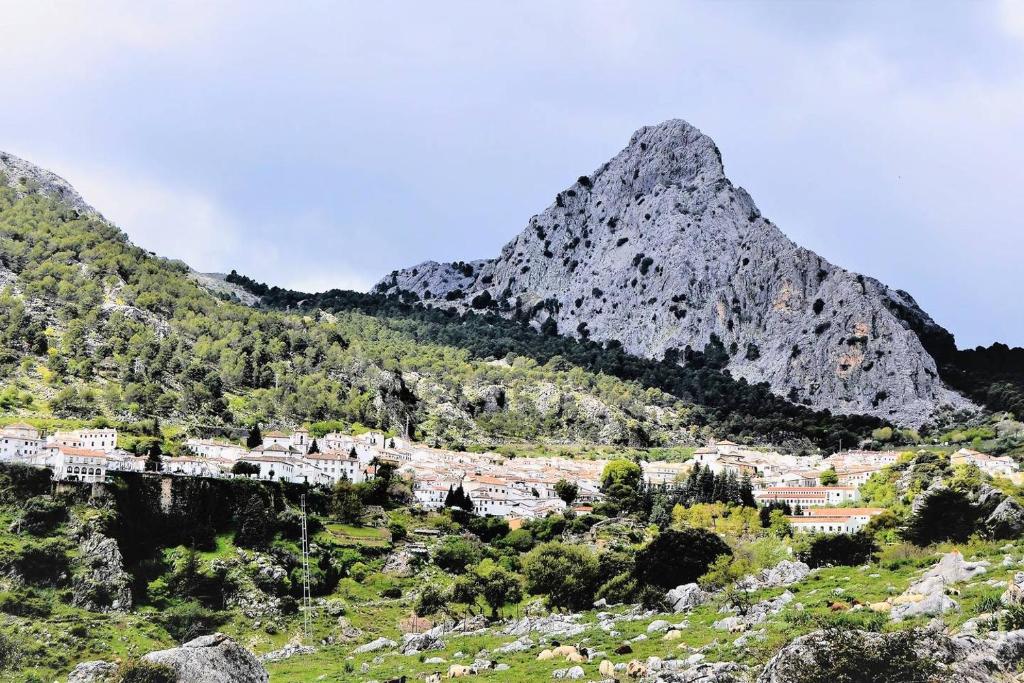 Casa Plaza Sierra Grazalema photo 2
