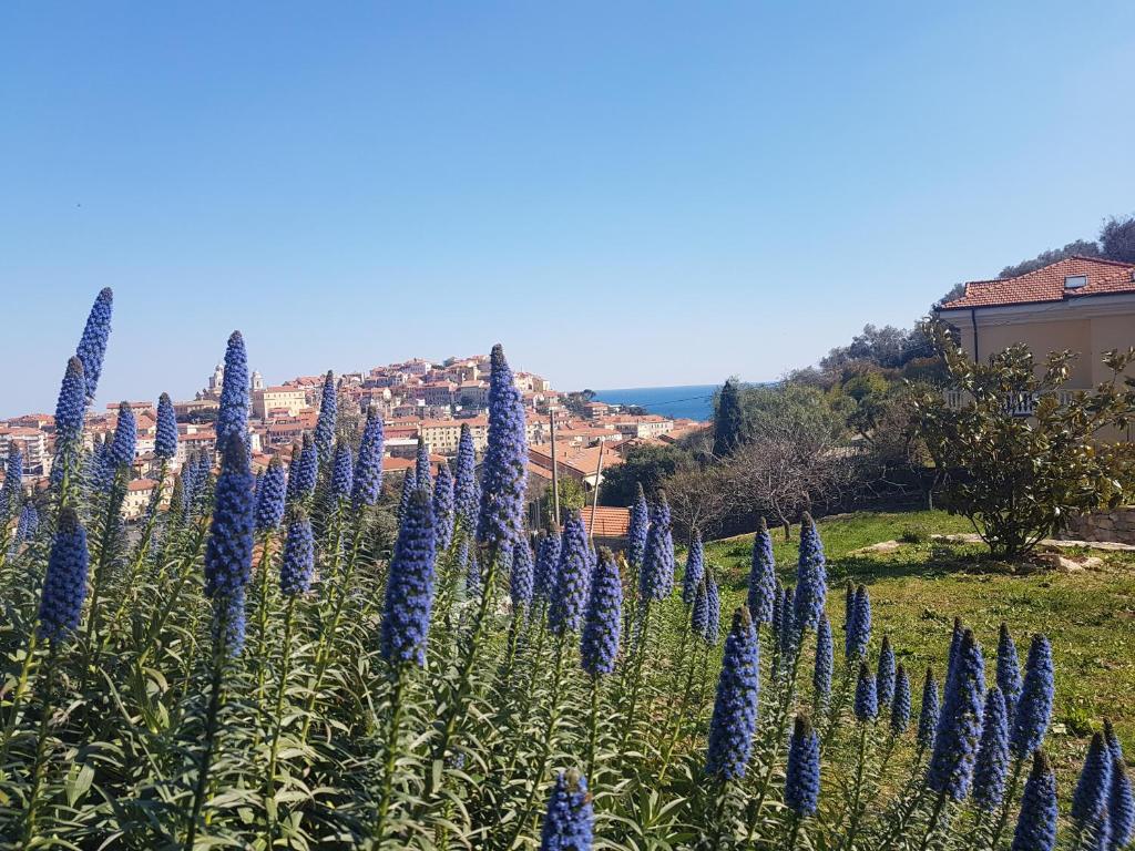 Villa Caterina photo 1