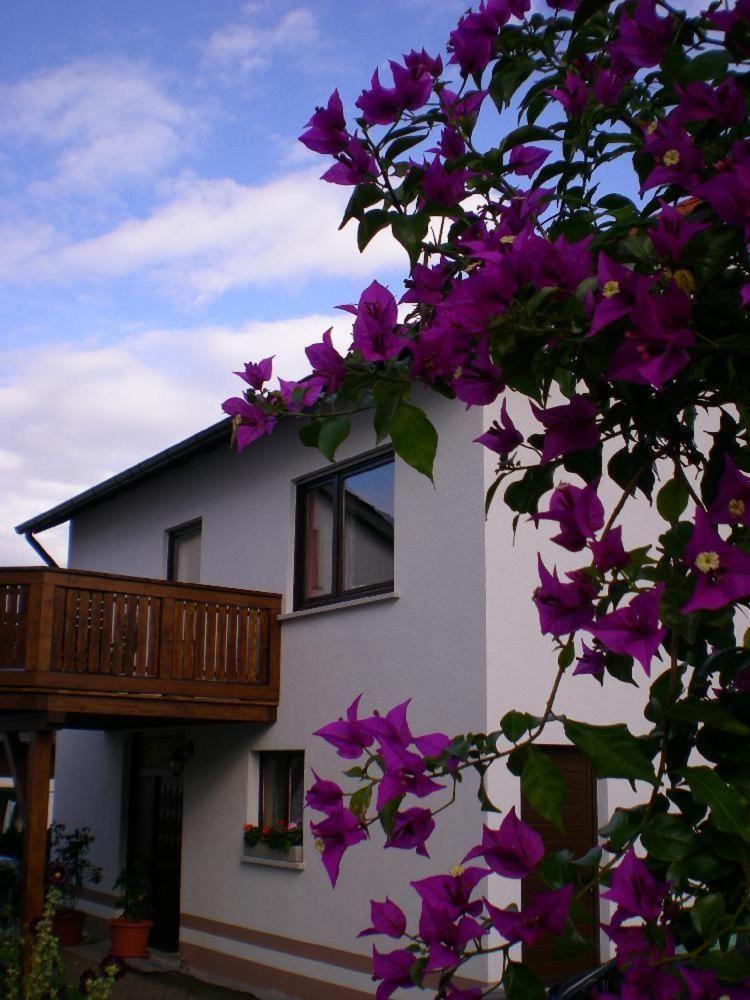 Casa-Maria photo 1