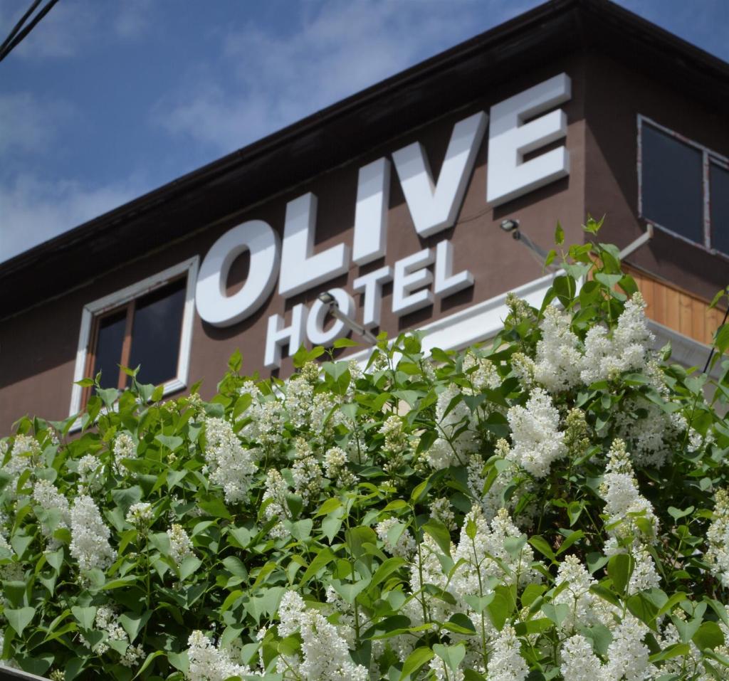Olive Hotel Bishkek photo 3