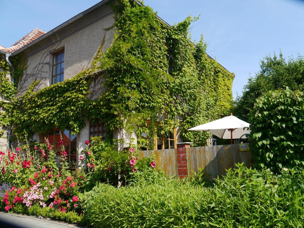 Haus Vincent Stralsund, Vorpommern-Rugen