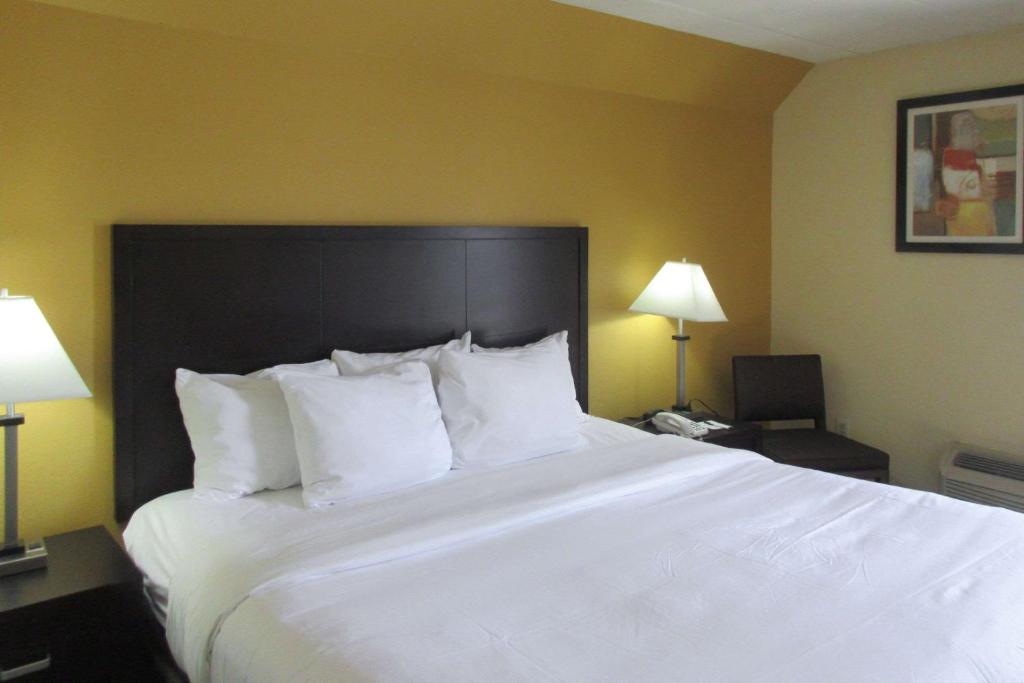Quality Inn & Suites photo 3