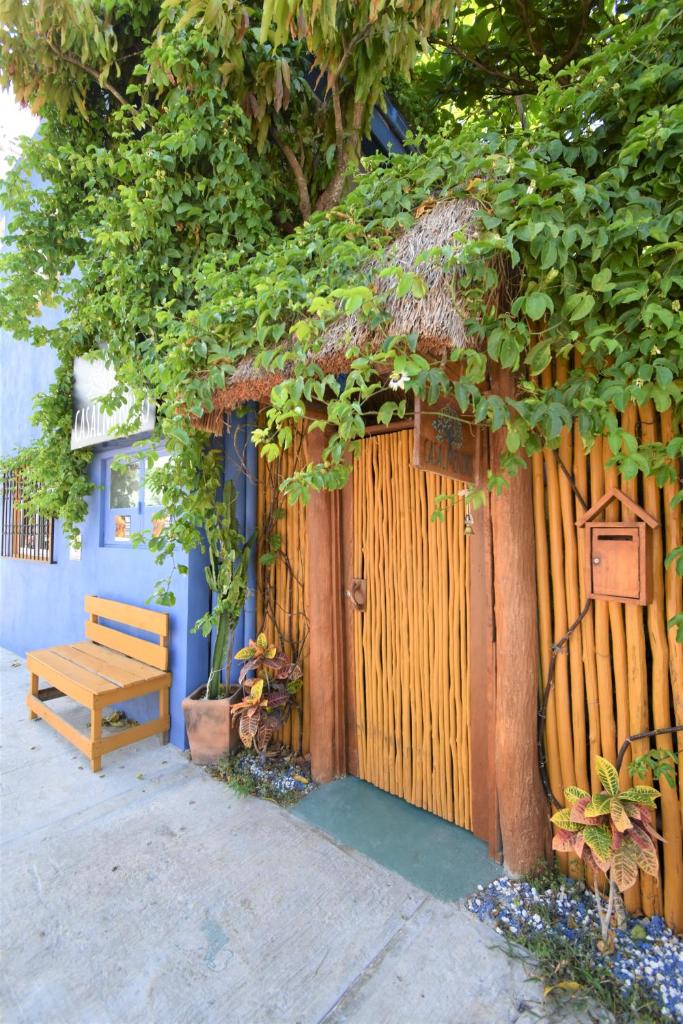 Casa Almendro photo 3