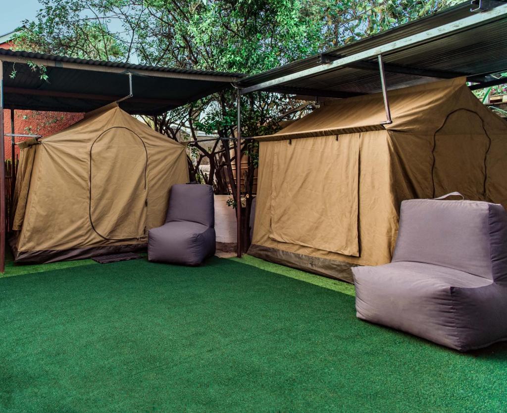 Chameleon Backpackers & Guesthouse photo 4