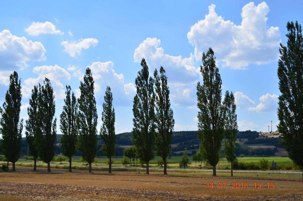 Villa Merzbach - Wohnen wie im Museum mit Komfort photo 1
