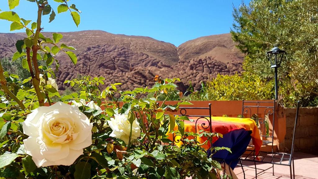 Auberge Kasbah Ait Marghad photo 4