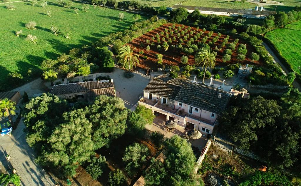 Agroturismo Fincahotel Son Pou photo 2