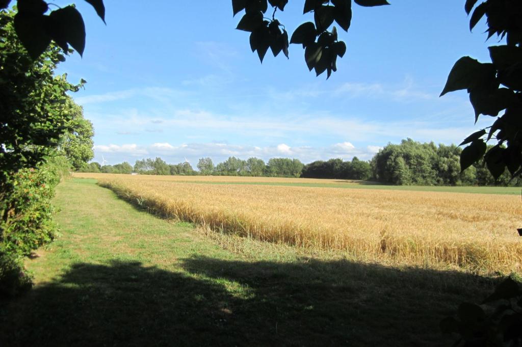 Staevnegaarden photo 2