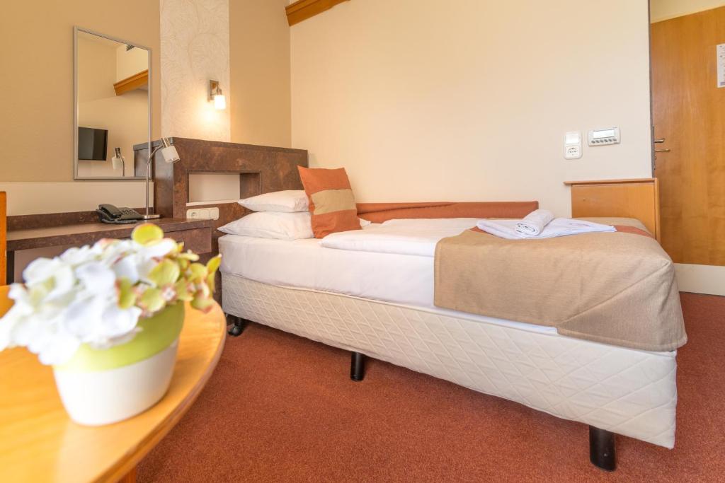 Одноместный (Классический одноместный номер), Hotel Spa Hévíz