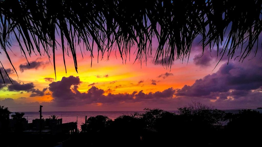 BEACHES Bonaire photo 4