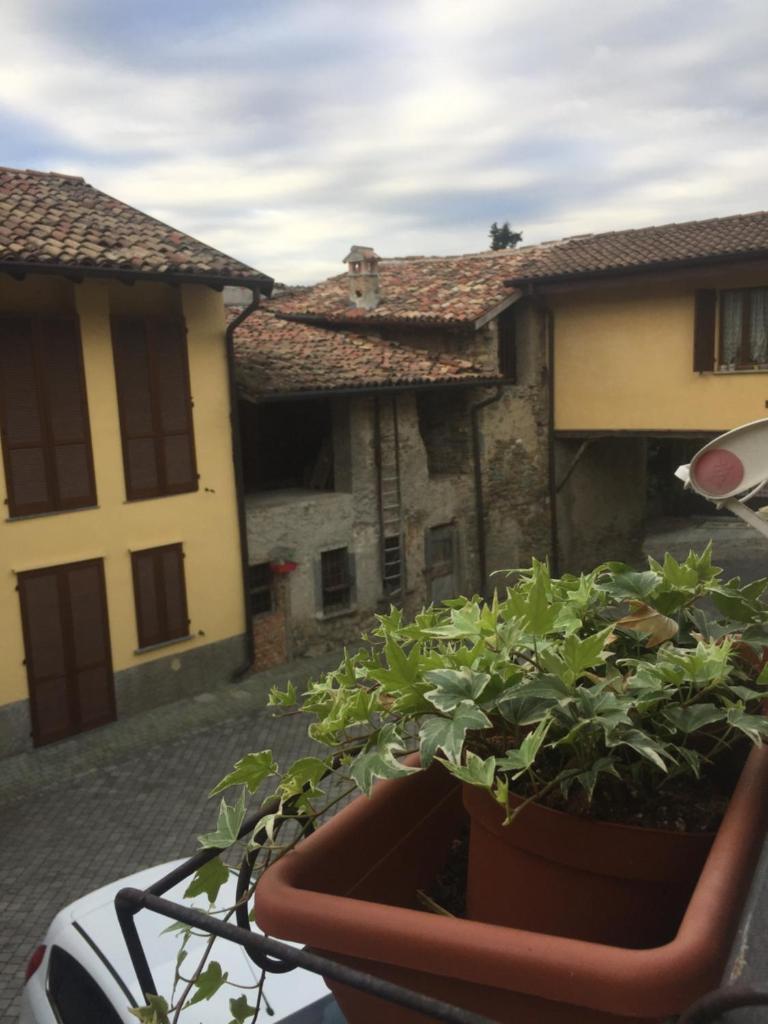 B&B Il Portico del Conte photo 3
