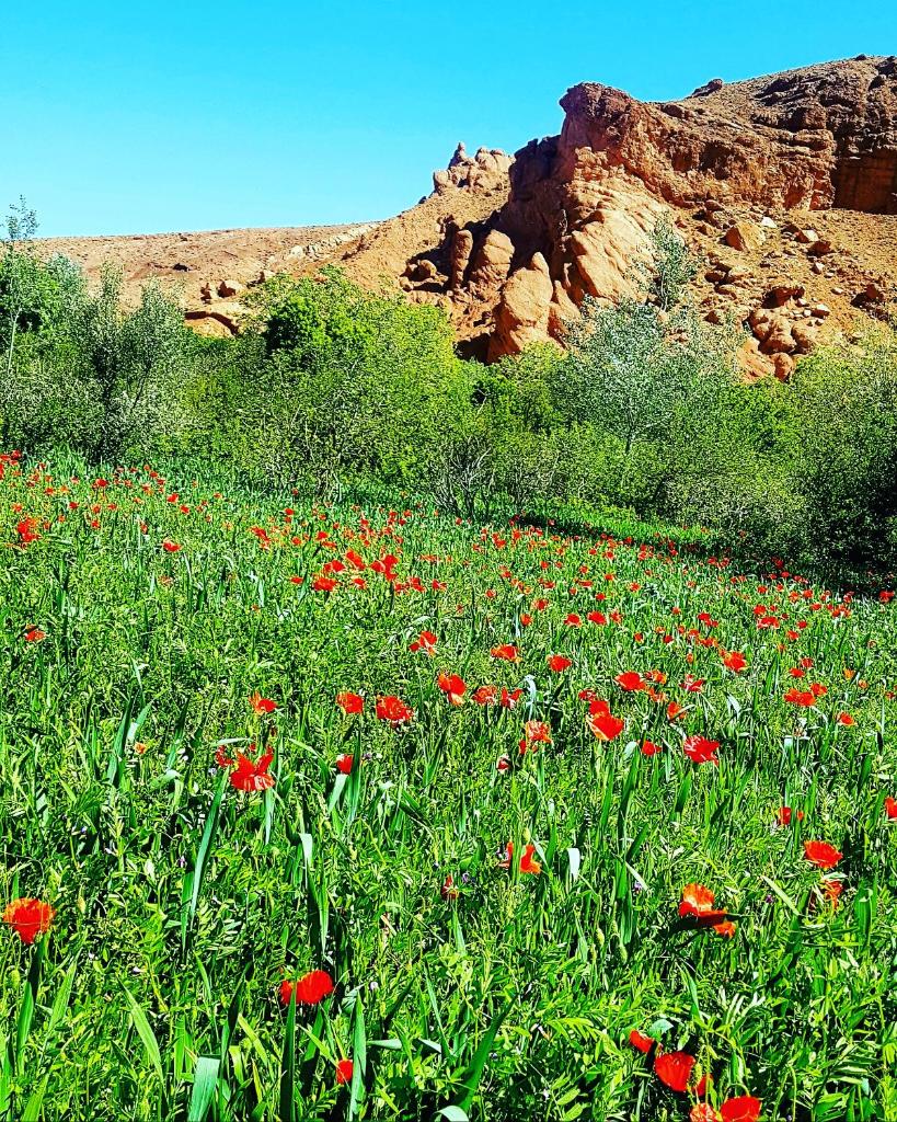 Auberge Kasbah Ait Marghad photo 3