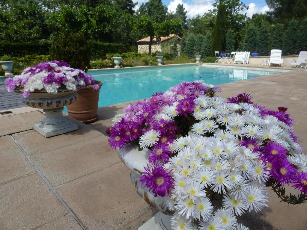 DOMAINE DU PLANAS - PATIO photo 3